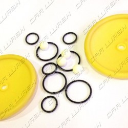 Repair kit for WILDEN pneumatics