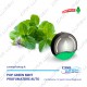 Diffusore di Profumo Arbre Magique POP Green Mint 