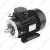 Electric motor IEC 100 1450