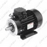 IEC 100 1450 rpm electric motor