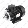 Motore elettrico IEC 100 1450 rpm 3Kw 4Hp B14 albero diametro 28 