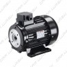 Electric motor IEC 132 1450 rpm 7,5Kw 50 hz