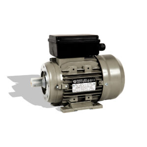 Motore elettrico 1HP/220V-50Hz 750W
